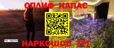ПСИЛОЦИБИНОВЫЕ ГРИБЫ Нальчик