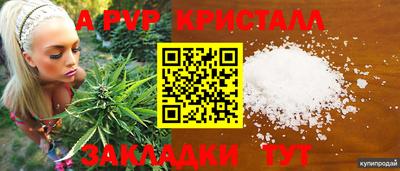 ПСИЛОЦИБИНОВЫЕ ГРИБЫ Нальчик